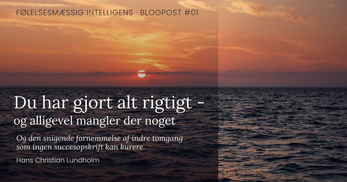 Du har gjort alt rigtigt – og alligevel mangler der noget – Hans ...